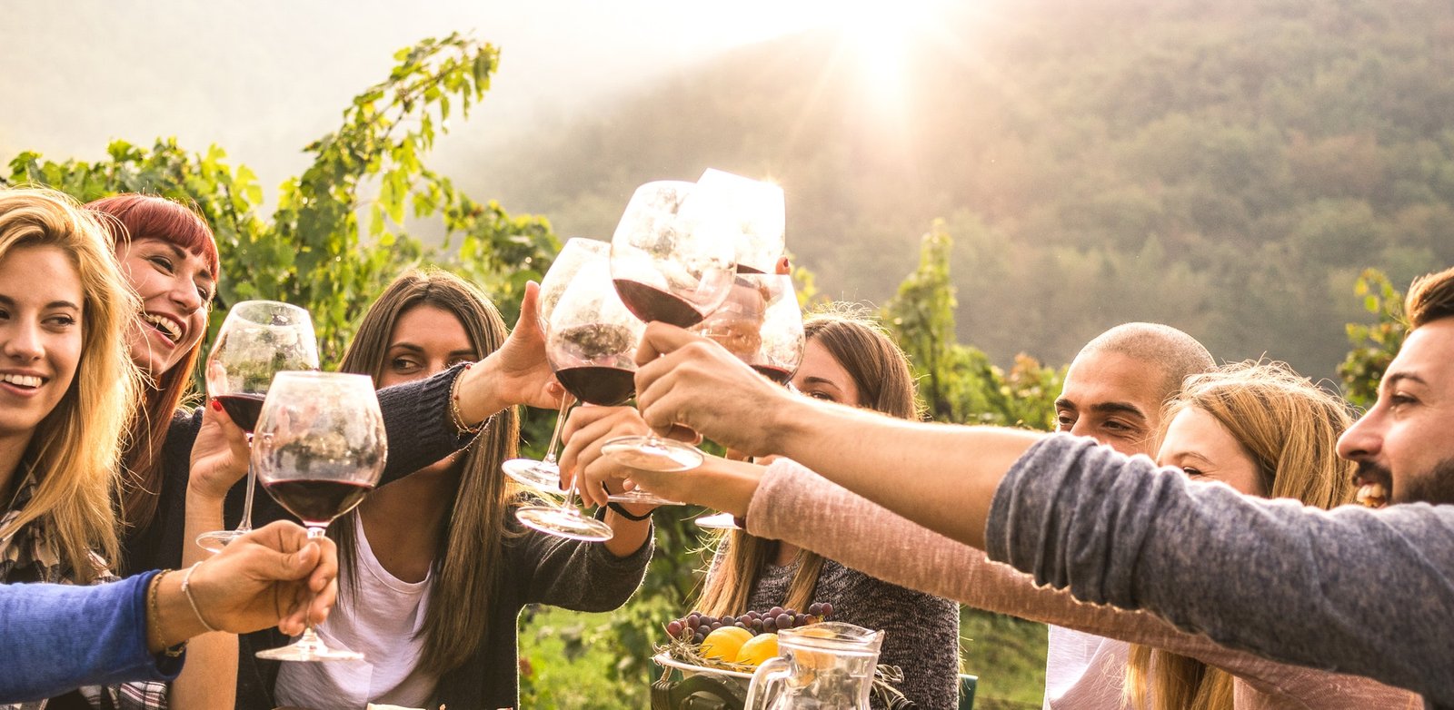 Cata de vinos